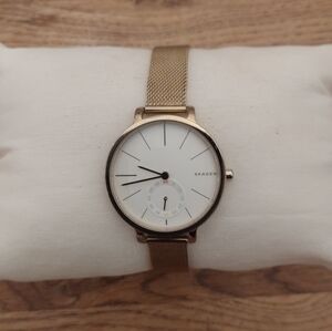 Women's Skagen SKW2436 Hagen Mineral Crystal 34MM Quartz Watch